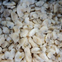 냉동 바지락살 1kg, 자숙 바지락살 1kg, 1개