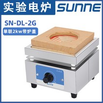 실험용 전기 곤로 스토브 직화 가열기 직화기 2000W, 2000W (커버 포함)