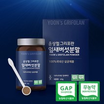 윤상철 무농약 잎새버섯 함량 100% 분말 가루 천연조미료 베타글루칸, 1개, 60
