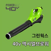 그린웍스 40v 충전송풍기 엑시얼 블로워 충전 브로워 낙엽청소기 무선송풍기 제설기, 선택1 송풍기만(충전기 배터리제외), 1개