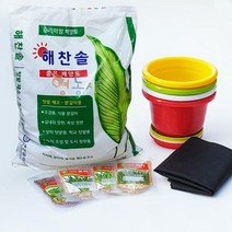 새싹메밀씨앗 + 토경새싹재배세트 4종