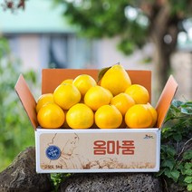 [옴마품]제주 황금향 2.5kg 3kg 5kg 가정용 명절선물세트, 1box, 제주 황금향 3kg(7-15)-선물용 포장