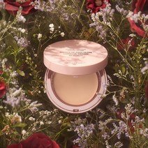 조성아 티엠 바운스 업 팩트 울트라 동백 에디션 11g 바운스업, 2호 샌드 베이지 본품, 1개