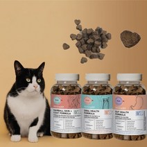 마이크로신 캣 고양이 헤어볼 피부 피모 장건강 눈건강 영양제 120g, 구강건강영양제120g