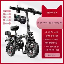 접이식 전기자전거 전동바이크 장거리 120km 여행 48v, 48v35A약140KM