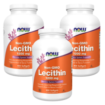 미국 나우푸드 Non-GMO Lecithin 레시틴 1200mg 400소프트젤 3SET, 1개, 기본