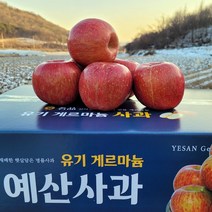 정이가 예산 게르마늄 꿀 부사 3kg 5kg 10kg 시나노골드 홍로 가정용 주스용 사과, 정품 소과 3kg ( 14~15과 내외)