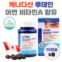 캐나다 직수입 루테인 아연 복합체 함유 비타민 A E lutein 누테인 황반 영양공급 흐릿 침침 뻑뻑 효능 남자 여자