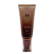 미샤 초보양 BB크림 SPF30 PA++ 50ml, 22호, 2개
