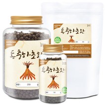 100% 동충하초환(국산) 모음 건강환 분말 가루, 100 동충하초환[국산] 100g[통]X2개