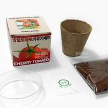 미니 방울토마토 키우기 정원 텃밭 가꾸기 DIY 채소