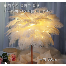 인플루언서 깃털등 침실등 여자 선물 소녀심구미 로맨틱 커플 포근한 무드등 숙소등, 블루