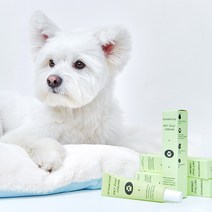 스탬푸드 펫 릴리프 크림 강아지 고양이 발 습진 상처 피부염 보습크림 연고, 1개 (20g)