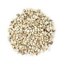동의한재 국산 홍화씨 차 3kg 홍화자, 1개