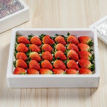 [열혈푸드] 최상급 산지직송 설향 생 딸기, 특(30구) 850g 내외