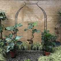 정원아치 넝쿨 받침 정원꾸미기 가든 전원주택 펜스 대문, 크다, 2.블랙 폭 120cm