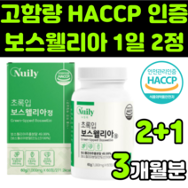 보셀리아 보수웰리아 관절에좋은것 보스헬리아 인도산 보스웰리아 정 boswellia extract 복합물 덩어리 보스웰리스 보수엘리아 추출물 보스벨리아 akba 초록잎 초록색 홍합, 3박스(3개월분)