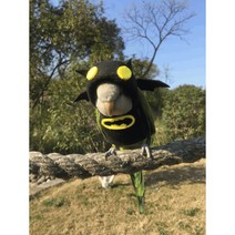 앵무새 옷 코뉴어 새 모란 겨울 털 블랙 귀여운 멋있는 모자 따뜻한 도톰한, 앵무새종류 배송요청에 적어주세요., 양털 따뜻한 배트맨 원피스 똥 주머니