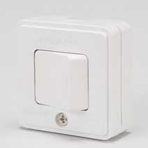 천지몰 텀블러 사각 스위치 위너스 노출, 1개