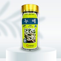 내츄럴선 누에환 네츄럴선, 1통, 270g