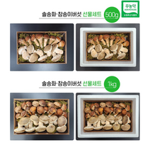 [더좋은버섯] 솔송화&참송이버섯선물세트 500g 1kg(당일 출고가능), 1kg
