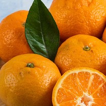 도봉물산특가_[국내산] 영화청과 특급 제주도귤 2kg 청 만들기 하우스 노지, 1, 본상품선택