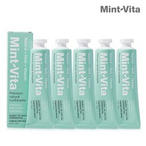 브랜드없음 [민트비타]치약 오리지널 브레스케어 120g 5개, 단품없음