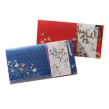 솜씨카드 마음을 전하는 돈봉투 2매 세트, 9 × 17.5 cm, 혼합 색상