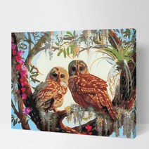 DIY 명화 그리기 유화 인물 고흐 동물 해바라기 그림그리기 세트, 05_동물-A012  부엉이 부부