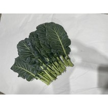 케일 1kg