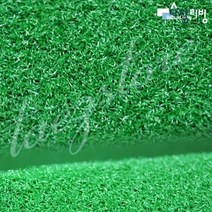 나이론 N800 인조잔디 야외 실내 애견 강아지 매트, 단품