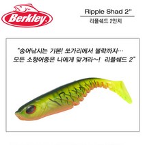 버클리 리플쉐드 2인치 소프트베이트 루어웜, SMLT
