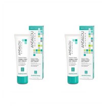 안달로우 코코넛 워터 펌 데이 크림 Andalou Naturals Coconut Water Firm Day Pd. 50G 2개
