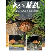 거북이쉼터 사육장 육지거북 용품 거북선대 기대 큰물거북 항아리 조경부도 언덕길 브라질거북 선배대 피동굴, 06 중간 사이즈 3컵+이끼+늑대고사리+야자