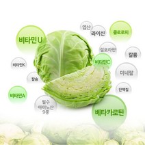 유기농 양배추즙 100% 저온추출 클로로피 설포라판 칼륨, 기본 30포