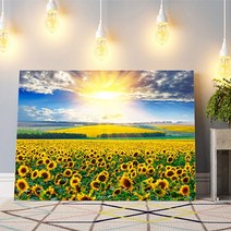 세잔느화실 [캔버스액자]풍수액자-12.활짝핀해바라기들판3