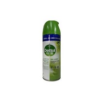 데톨 항균스프레이 모닝듀 450ml, 1개