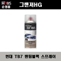 순정품 현대 그랜져HG TB7 팬텀블랙 스프레이 자동차 차량용 도색 카페인트, TB7 팬텀블랙 스프레이(모비스)