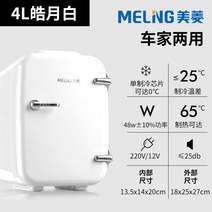 4L 차량용 미니 작은 냉장고 소형 마스크팩 뷰티 보관함, 4L 호월백/차가양용/모유추천