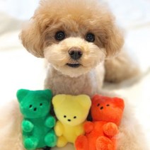 강아지 애착인형 젤리곰 하리보 인형, 옐로