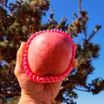 국산 사과 중소과 11-15과 3kg 부사, 선택상품선택