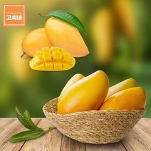 고씨네 냉동망고1kg 망고종류 열대망고 수입망고망고 제주애플망고 망고세일 페루애플망고 태국망고 제주망고 애플망고가격 제주도애플망고 필리핀망고 애플망고, 1개