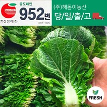 <해돋이농산> 국내산 쌈추 쌈배추 쌈야채 쌈채소 2kg 내외, 2kg내외, 1개” class=”wr-img”></a></div>
</p></div>
</p></div>
</p></div>
<div class=