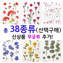 압화스티커 36종 다꾸 폰꾸 폴꾸 꽃스티커 책갈피만들기, 네이처스티커:비눗방울