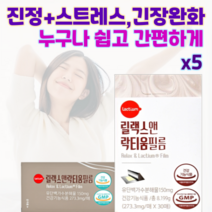 서울제약 릴랙스 앤 락티움 필름 긴장 스트레스 완화 활기찬아침 흡수빠른 구강붕해필름 건강기능식품 유단백가수분해물, 5개