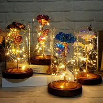 엔템 led 드라이플라워 프리저브드 유리돔 꽃 무드등 대형 미니유리돔 만들기 와이어전구 건전지 특이한무드등, 장미(골드)