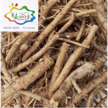 여름두릅 종근 무농약 (10개)