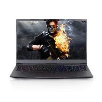 한성컴퓨터 프리미엄 게이밍 노트북 (i7-8750H WIN미포함) 43.94cm NVIDIA GeForce GTX1060 (Intel UHD Graphics 630) TFG176 코어i7 Free DOS 16GB, 혼합 색상, 250GB