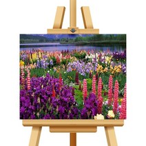 DIY 잇치치 캔버스형 보석십자수 비즈 큐빅 비즈 40X50 50X40, 29.50X40-퀸스타운(TOM-V041)