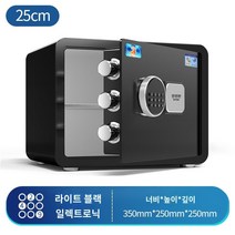 가정용금고 비밀 인테리어 지문인식 개인 사무용 현금보관함 스마트 디지털 금고, B